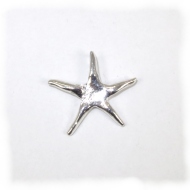 Smaller silver starfish